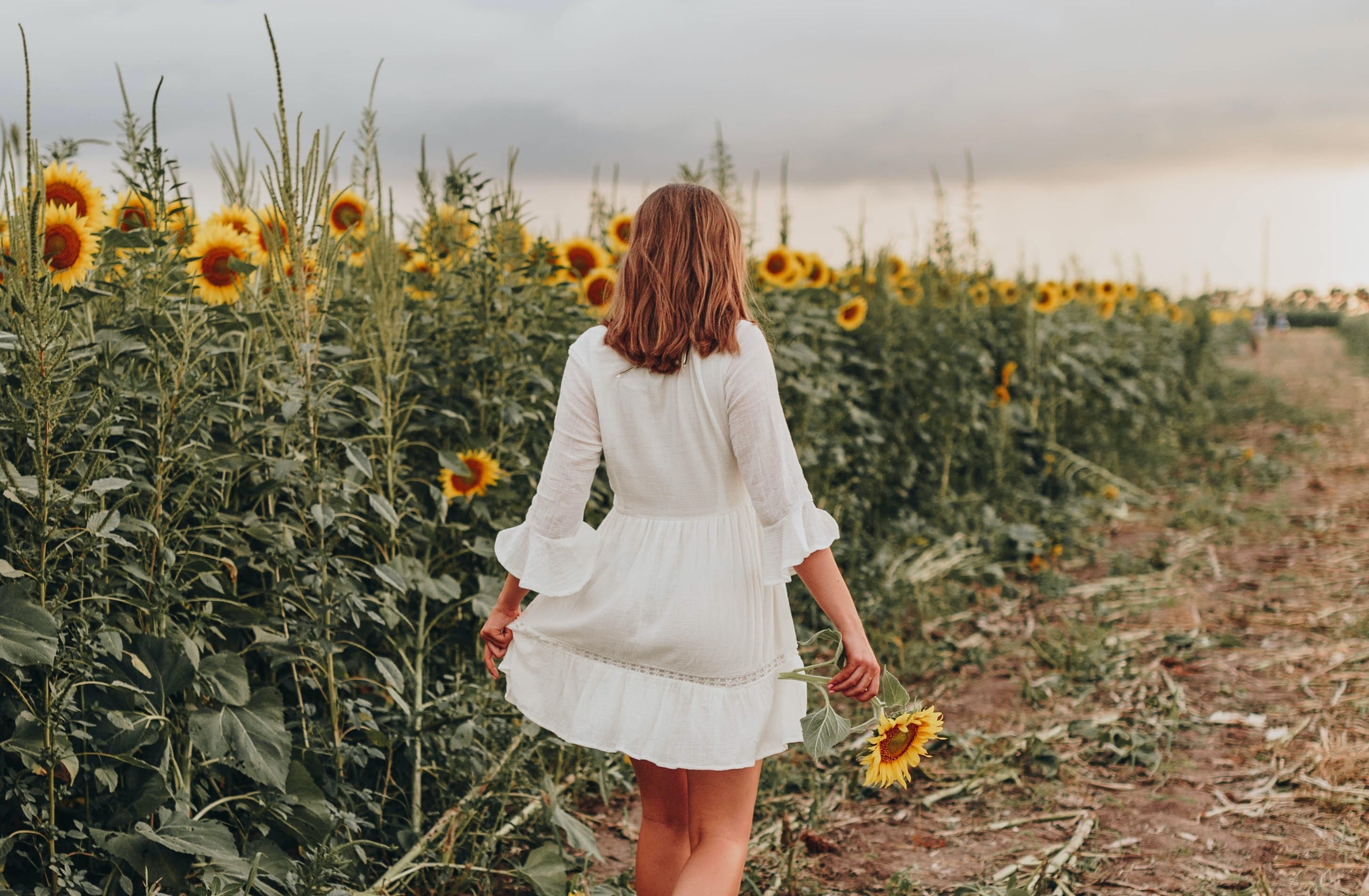 Ženska se v beli obleki sprehaja po polju sončnic.